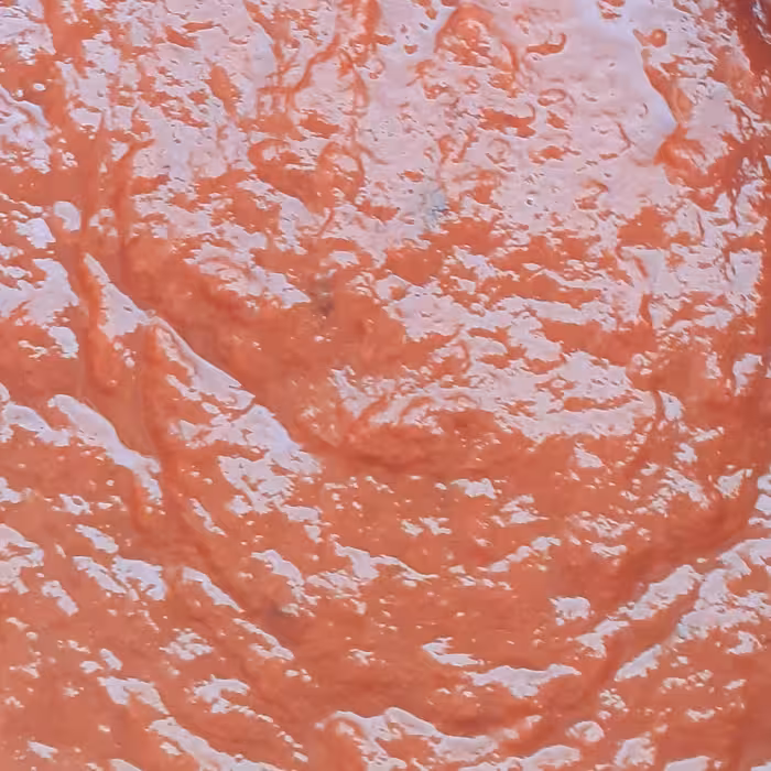 رب آلوچه .ترشی آلوچه 500 گرم ترشی ارگانیک محصول خرداد 402