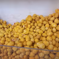 کراکر  باطعم کره