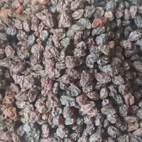 مویز گوشتی هسته دار آفتاب خشک دیم پاک شده امسالی اعلا یک کیلو و نیمی