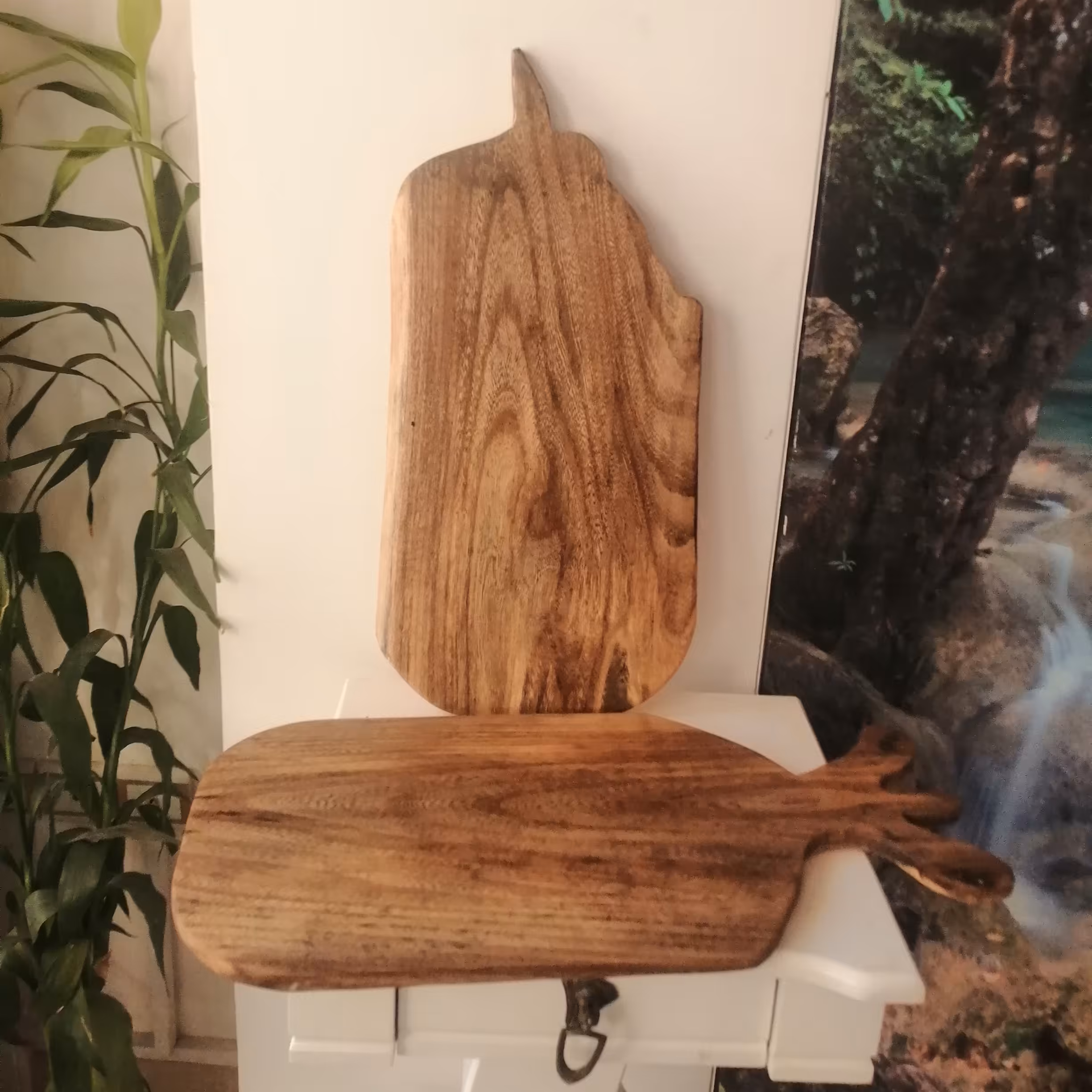 مجموعه دوتخته سرو از جنس چوب گزدو وبه ابعاد تقریبی 30 در 20 وصخامت 2 سانت جهت سرو و پذیرایی