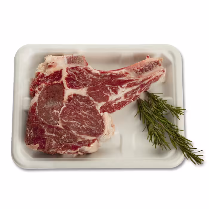 ظرف یکبار مصرف  یک کارتن 500 عددی