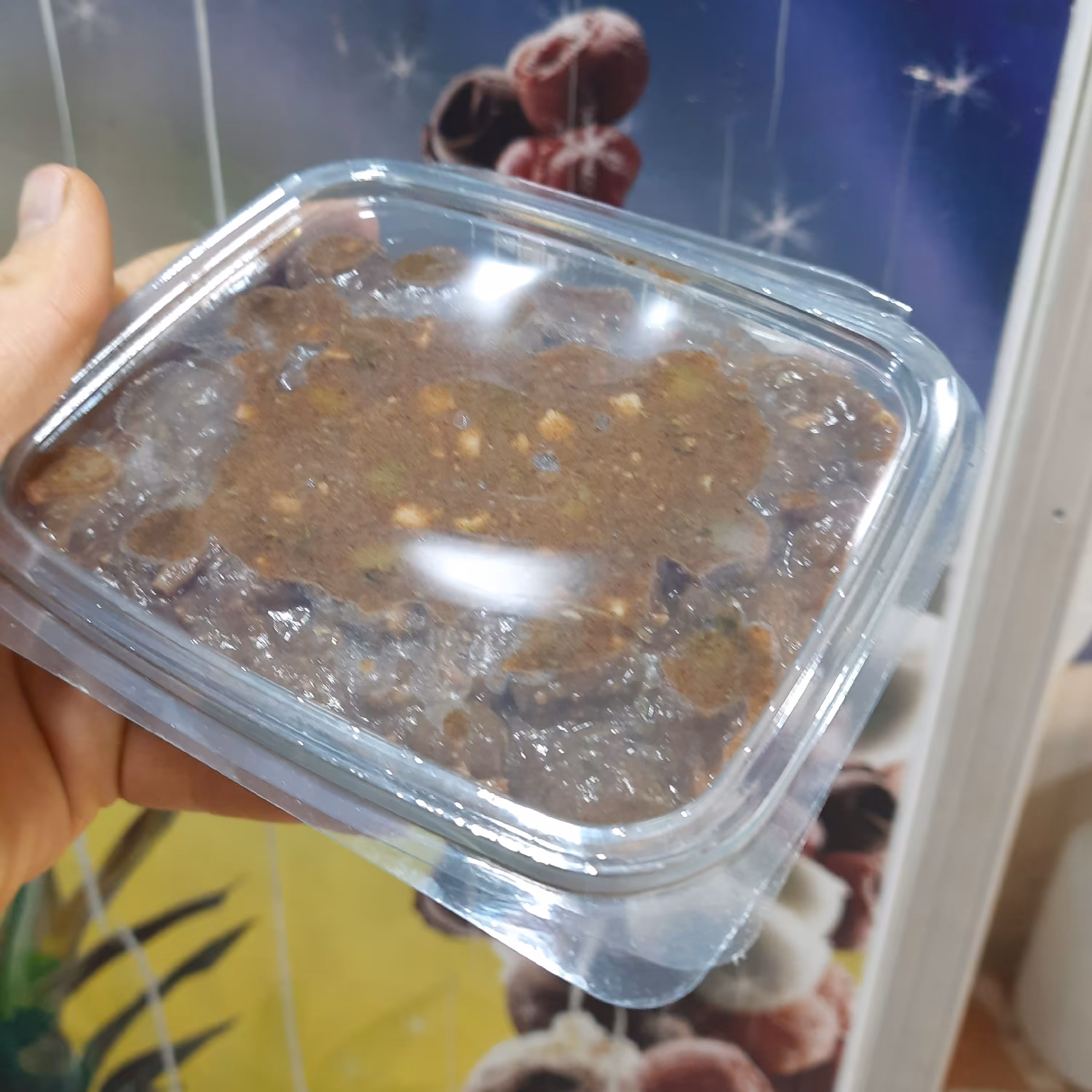 زیتون پروده خانگی مامان زهرا 