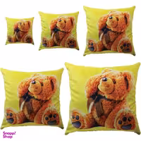 کوسن رنس کد S5-10058 مجموعه 5 عددی کوچک تا بزرگ