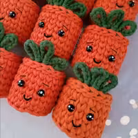 جامدادی تریکویی