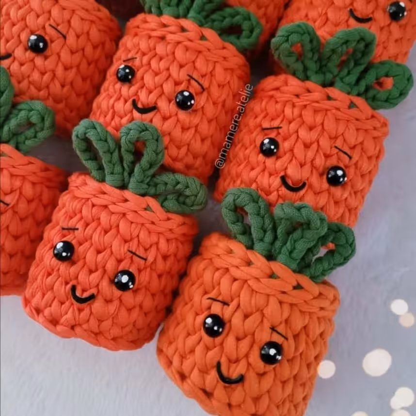 جامدادی تریکویی