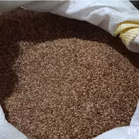 کنجد ایرانی شسته شده