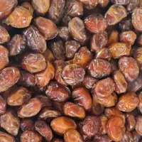 خرما خاصویی لواشکی 