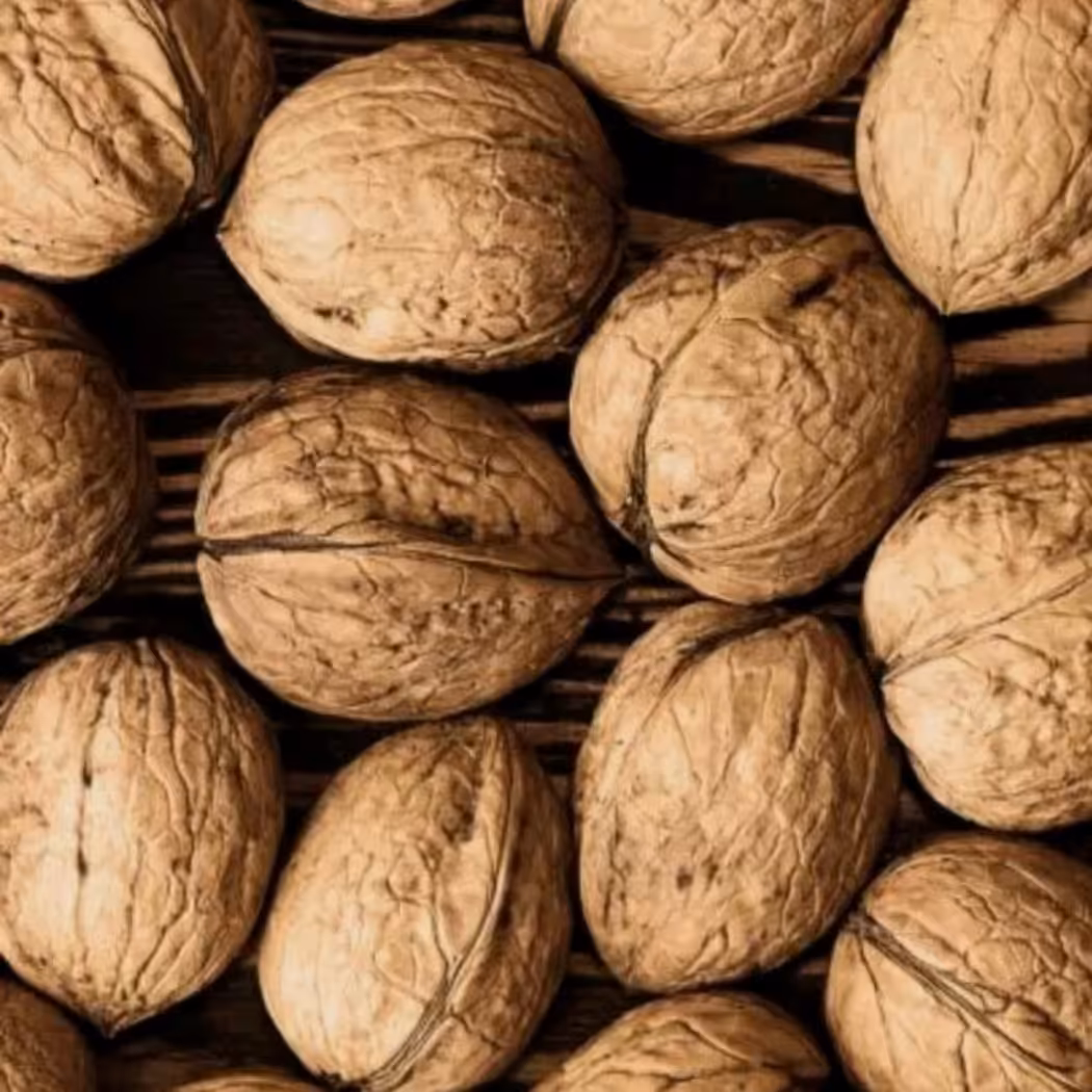 گردو  درجه دو