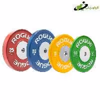 خرید صفحه هالتر روگ ROGUE وزن 5 کیلوگرم