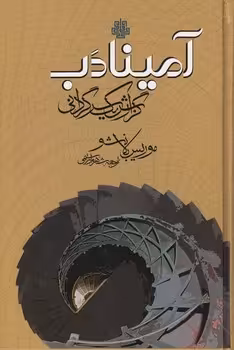 خرید کتاب آمینادب؛ گزارش یک سرگردانی — کتابسرای طه