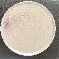 سینی مسی گرد زنجان،قطر 28،کلا قلع،طرح ترمه ارسال رایگان 