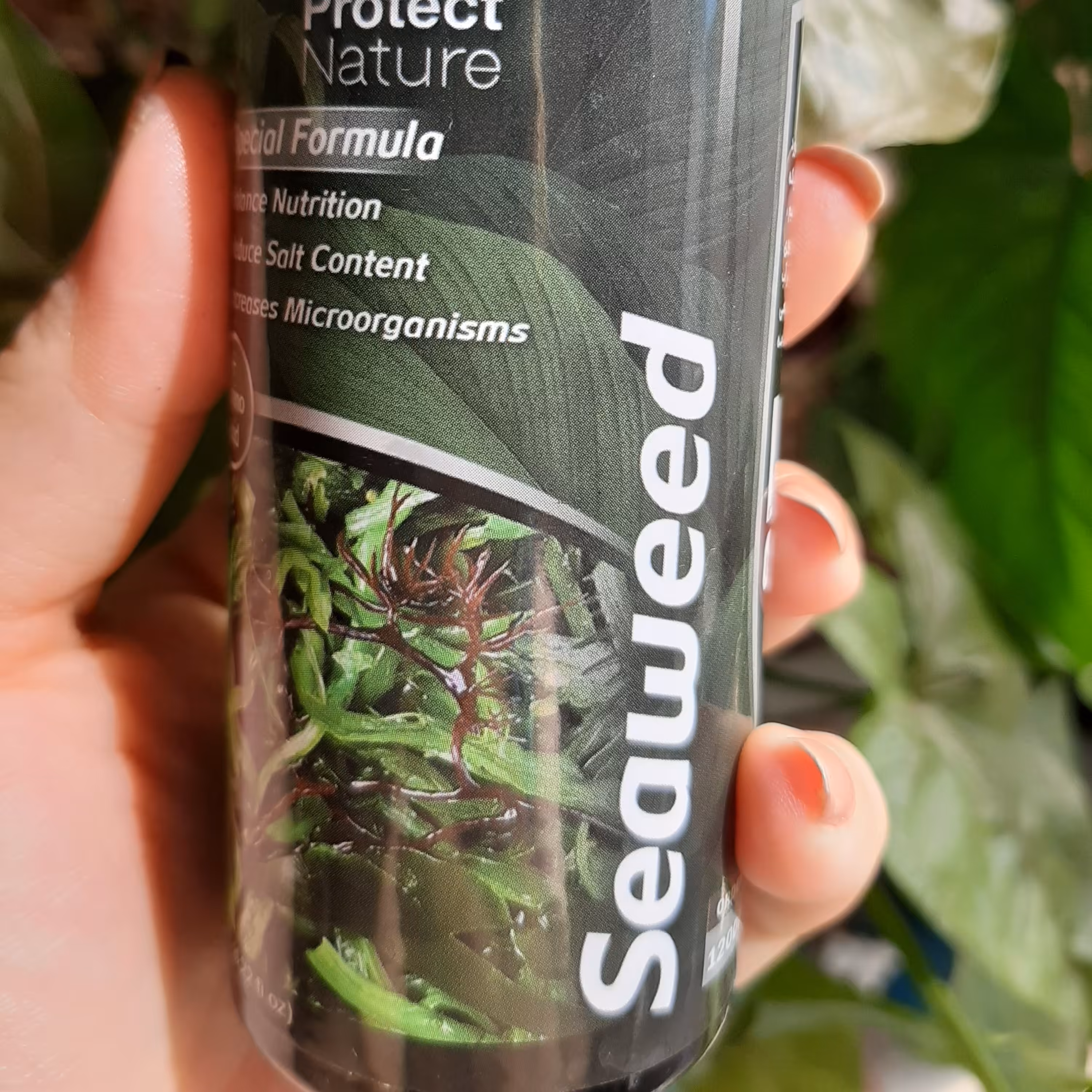 کو د جلبک دریایی  پروتکت نیچر