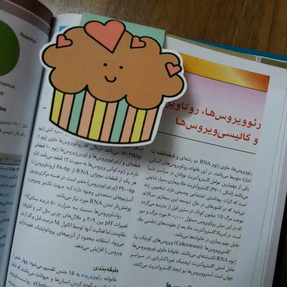 پک بوک مارک 5 عددی