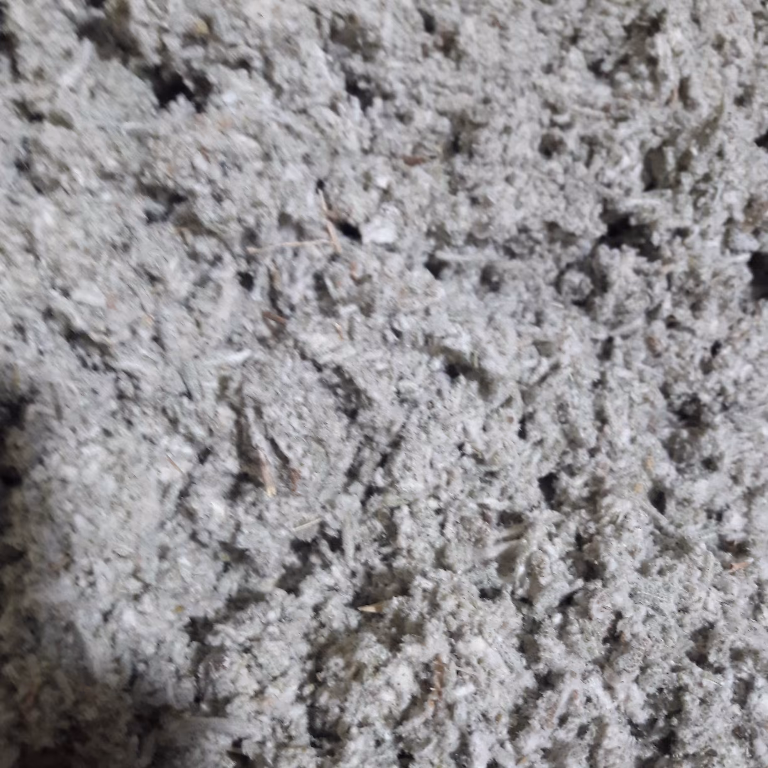 مروتلخ (مریم گلی کارواندی)