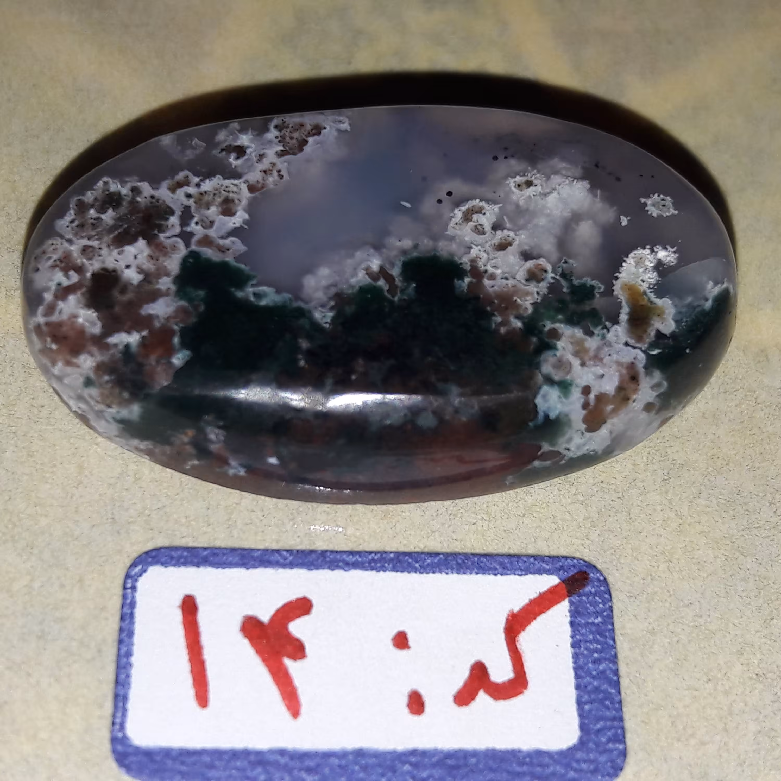 عقیق شجر دریایی کد 14 