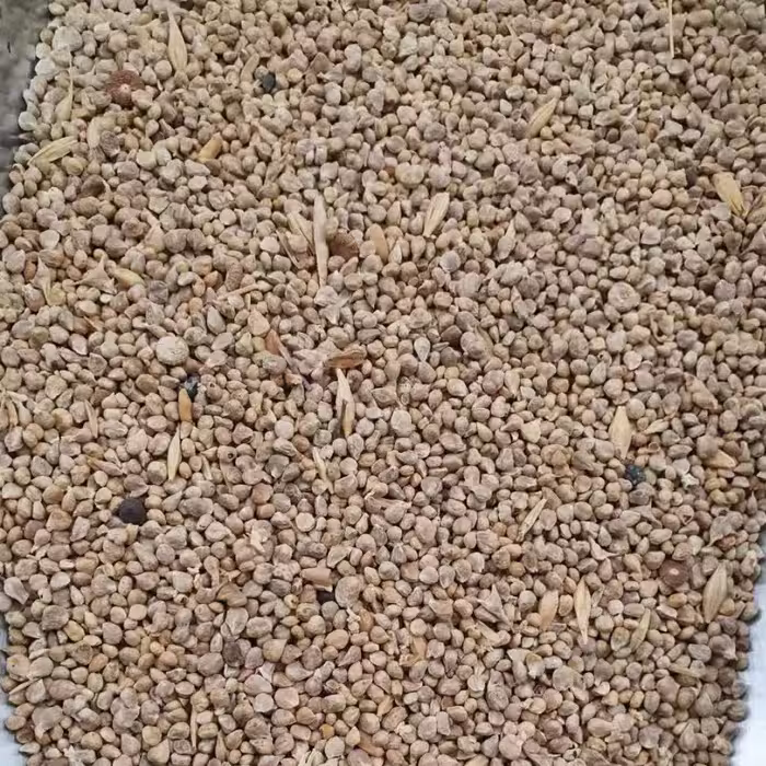 بذر اسفناج - 1 کیلو