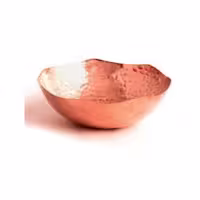 کاسه مسی سلنا 2041
