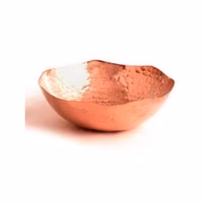 کاسه مسی سلنا 2041