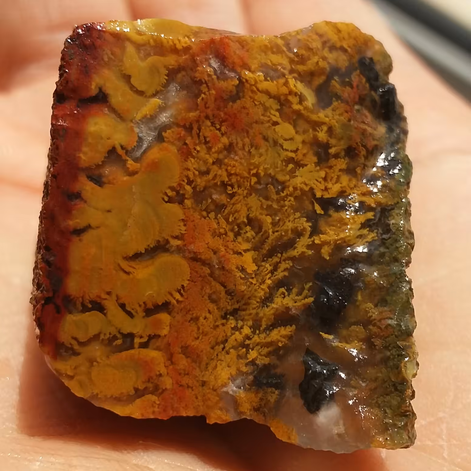 سنگ راف شجر منظره پاییزی محشر 100 در 100 طبیعی شاااهکار خلقت بی نظییییر خاااص