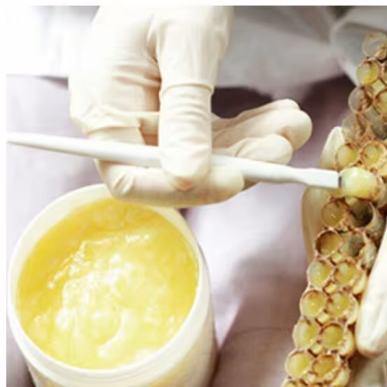 ژل رویال ایرانی (6گرمی)