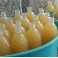 آبغوره خانگی 