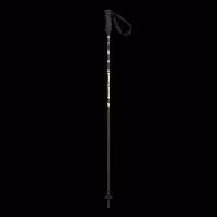 باتوم اسکی آلپاین ELAN SPEEDROD GREEN 2025