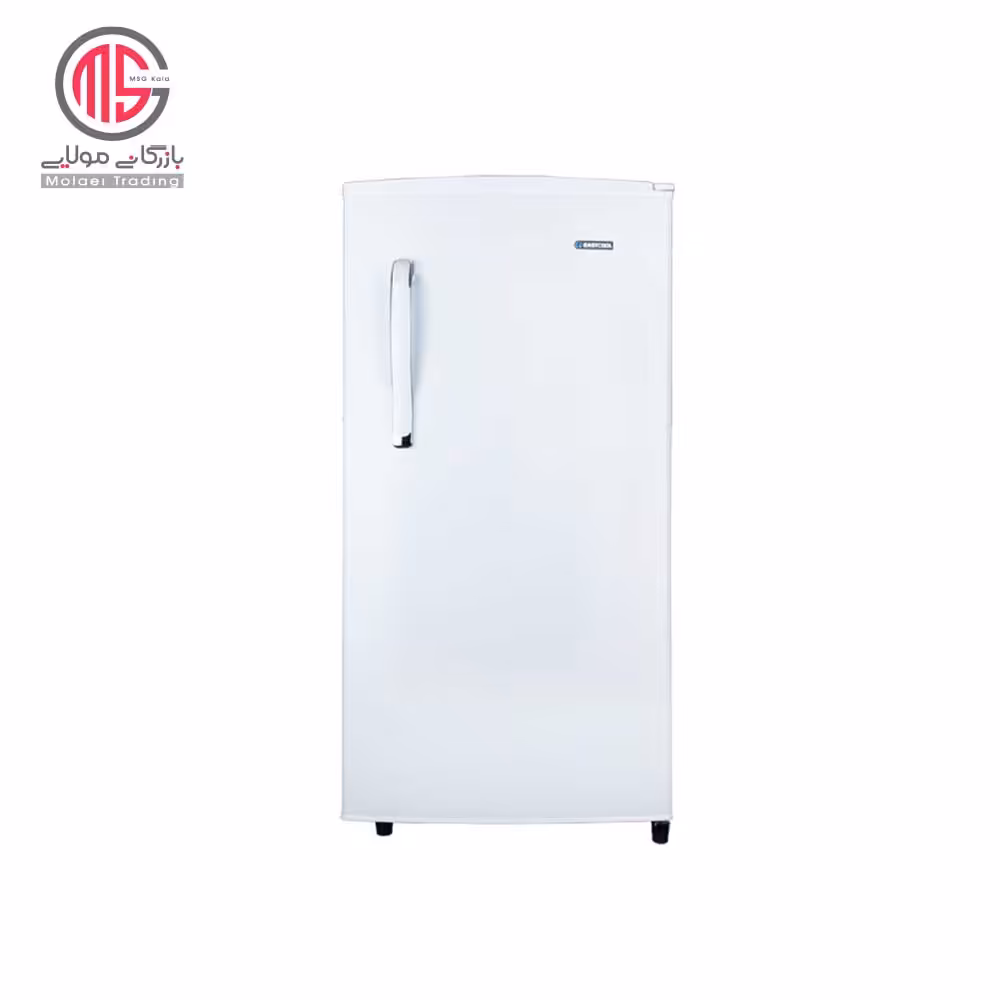 یخچال 9 فوت ایستکول 12 ولت مدل TM-919-DC