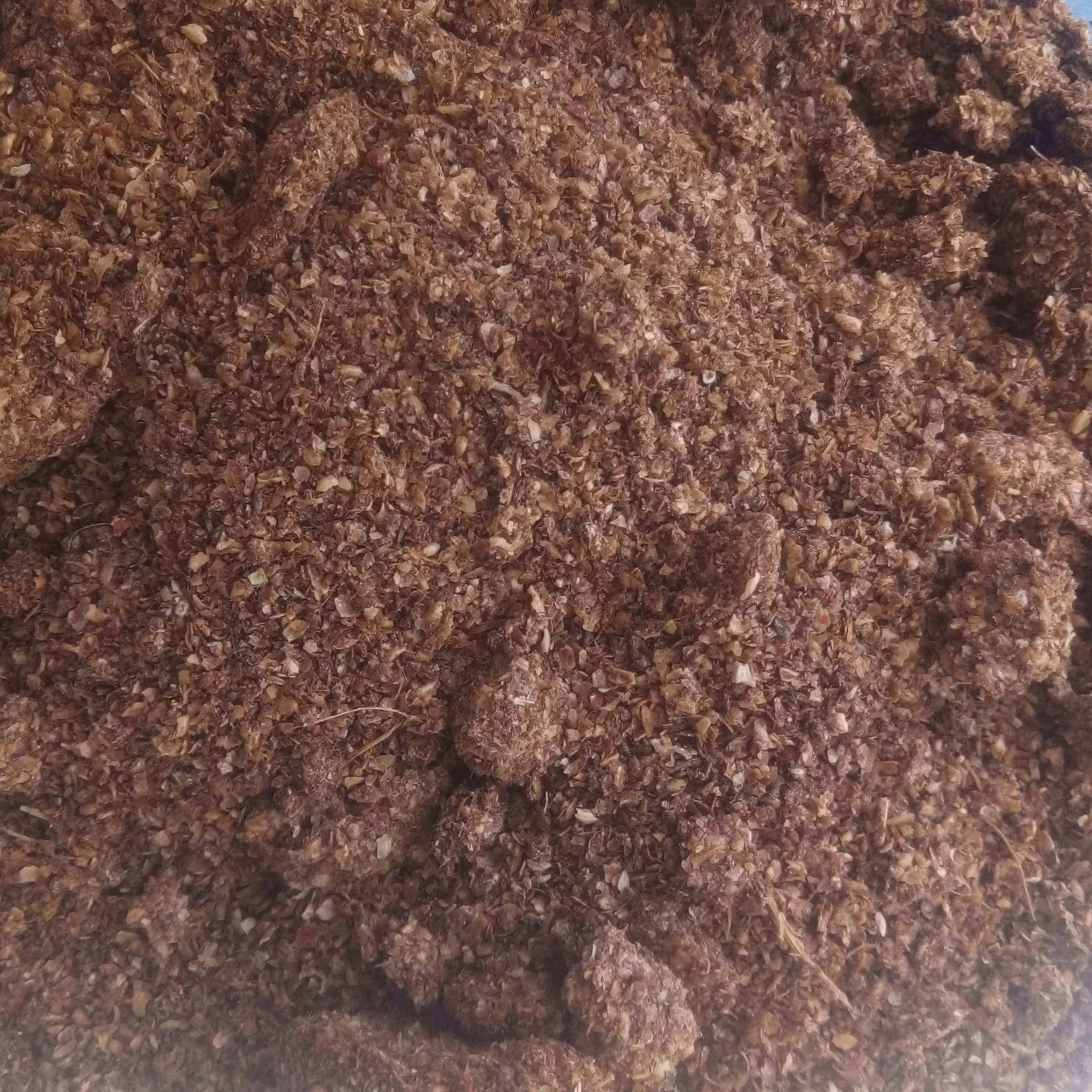 پودر سماق100 گرمی