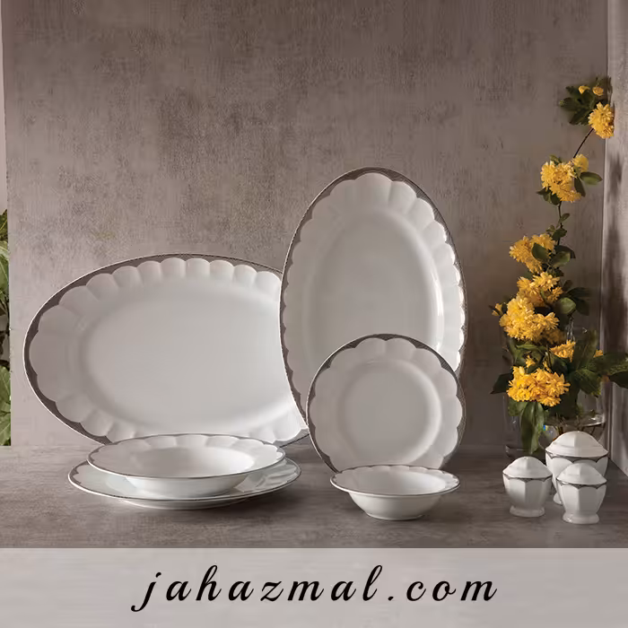 سرویس چینی زرین طرح ایساتیس پلاتینی 29 پارچه