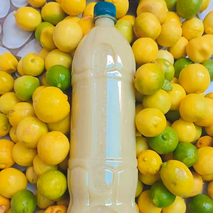 آبلیمو بسته ده عددی