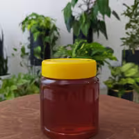 عسل کنارآبتین ارگانیک (یک کیلویی)