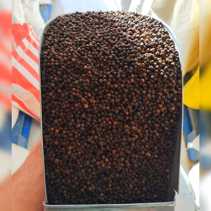 فلفل سیاه قلم درشت (120گرم)