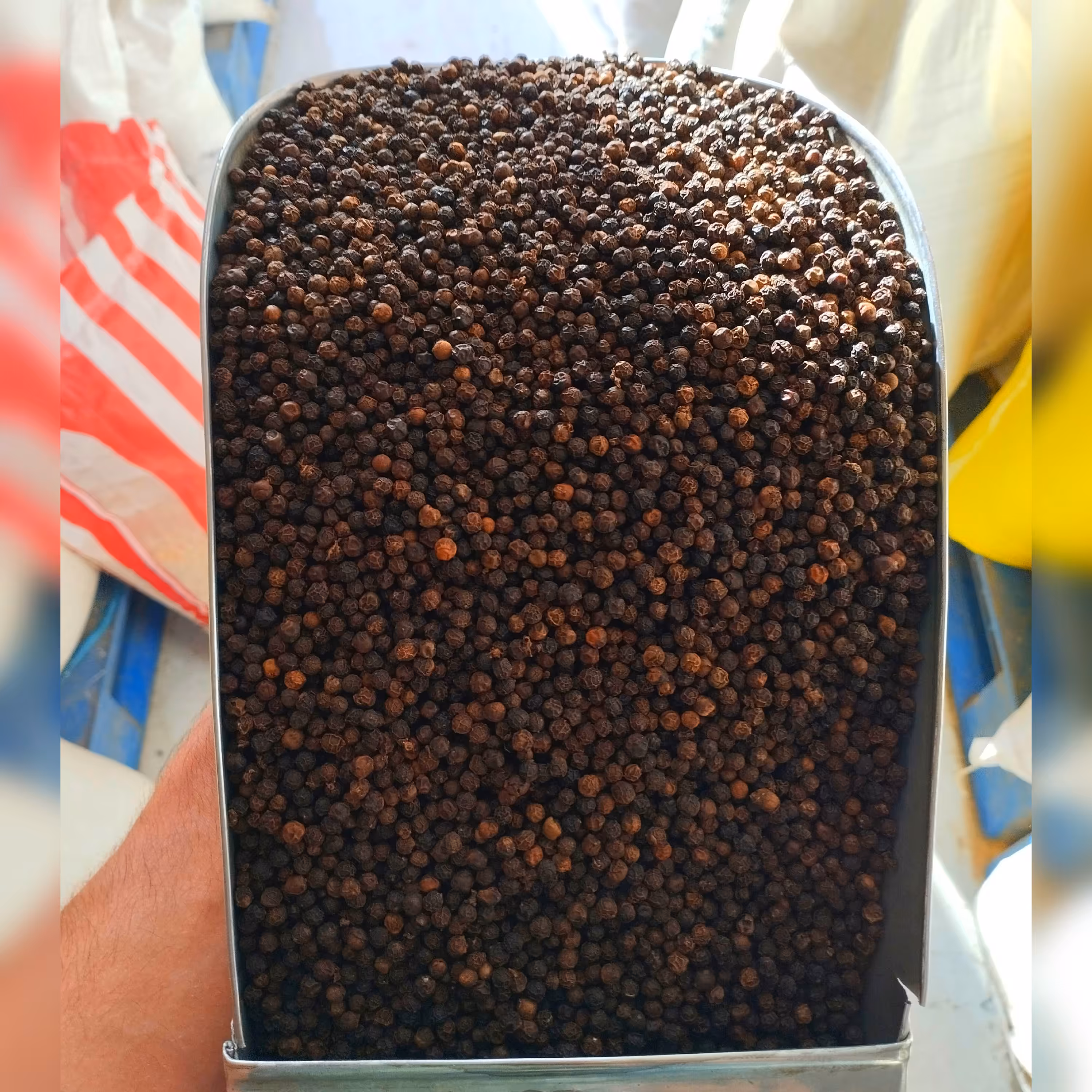 فلفل سیاه قلم درشت (120گرم)