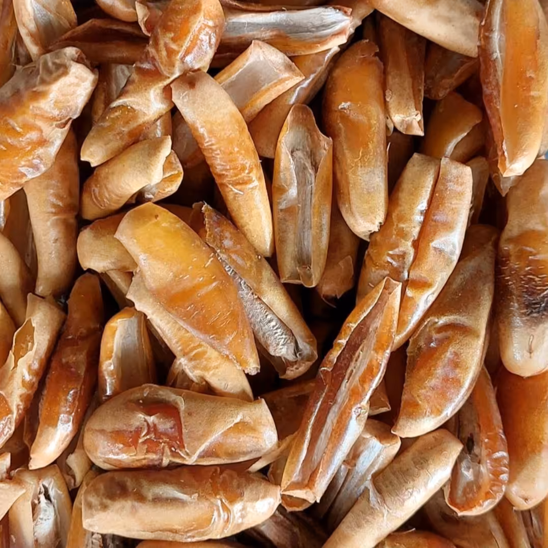 چیپس خرما شاهانی