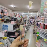 پشت خارونک انتنی