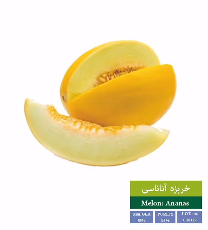 بذر خربزه آناناسی - بذر طلایی رویان