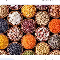 لوبیا  نخود سویا گندم و جو 