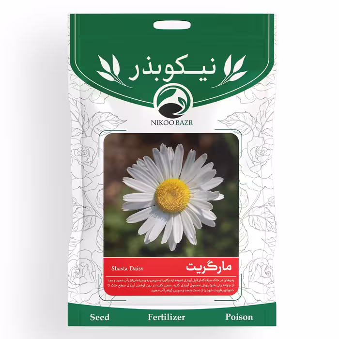 بذر گل مارگریت نیکوبذر