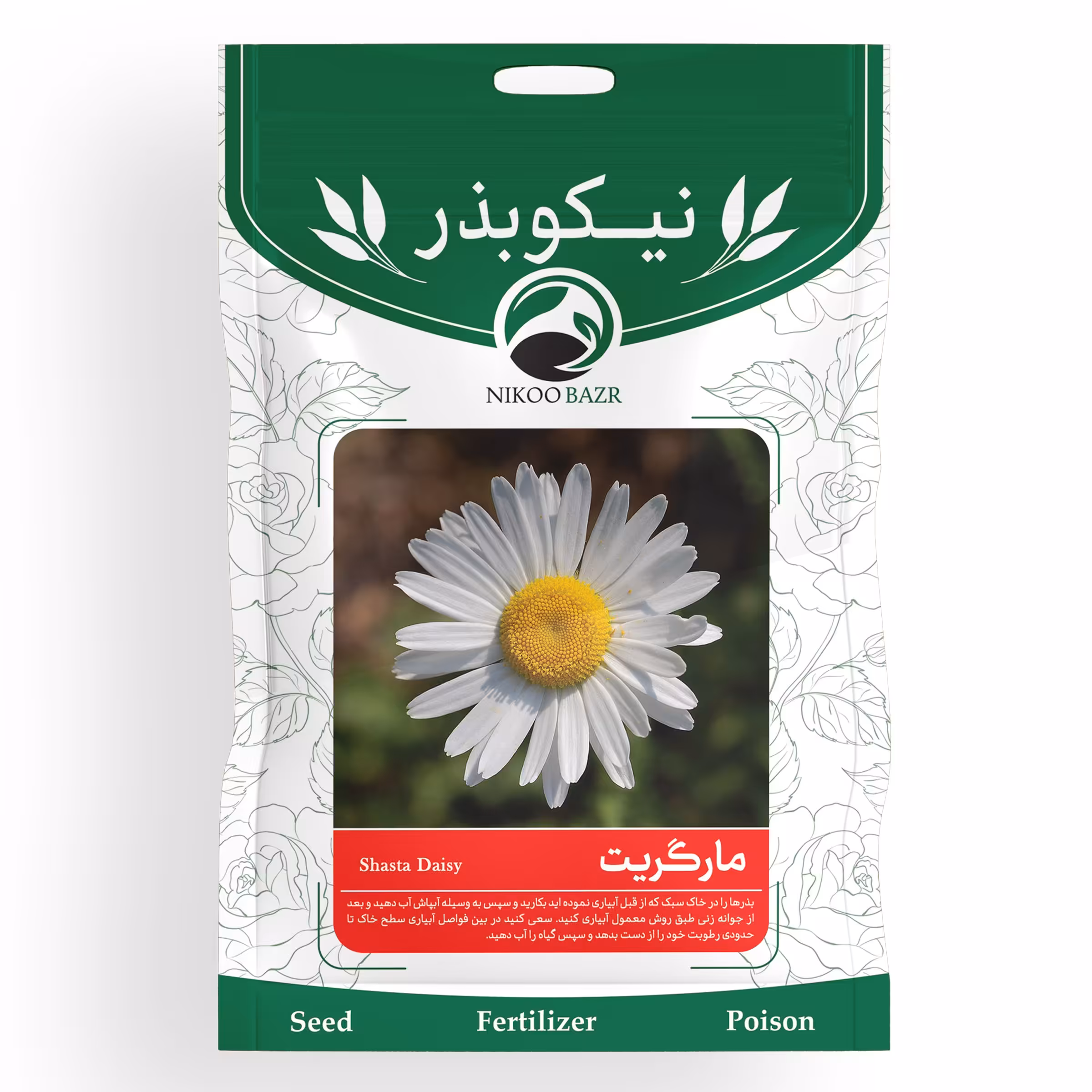بذر گل مارگریت نیکوبذر