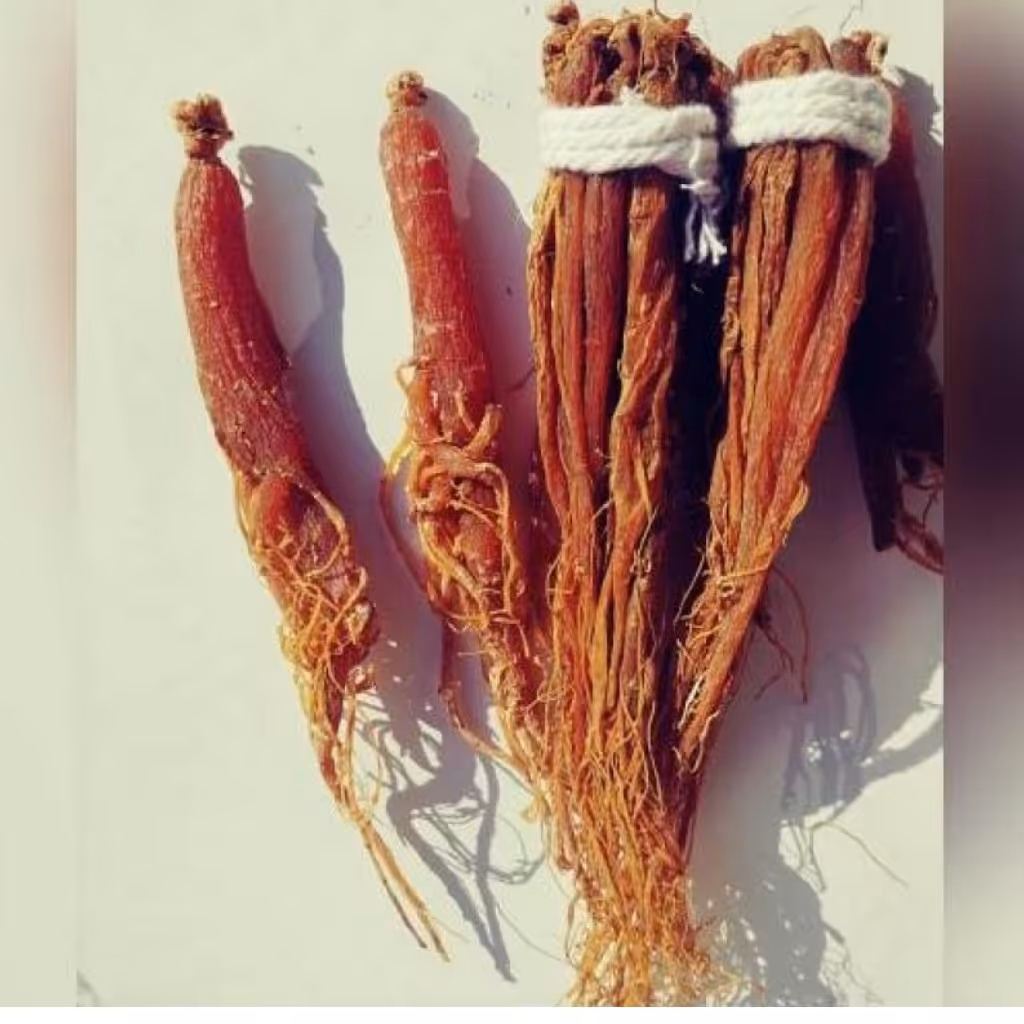 ریشه گیاهی جنسینگ قرمز 100 گرم