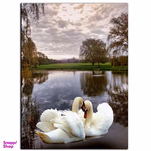 تابلو شاسی بکلیت طرح عاشقانه قو مدل SH-S529