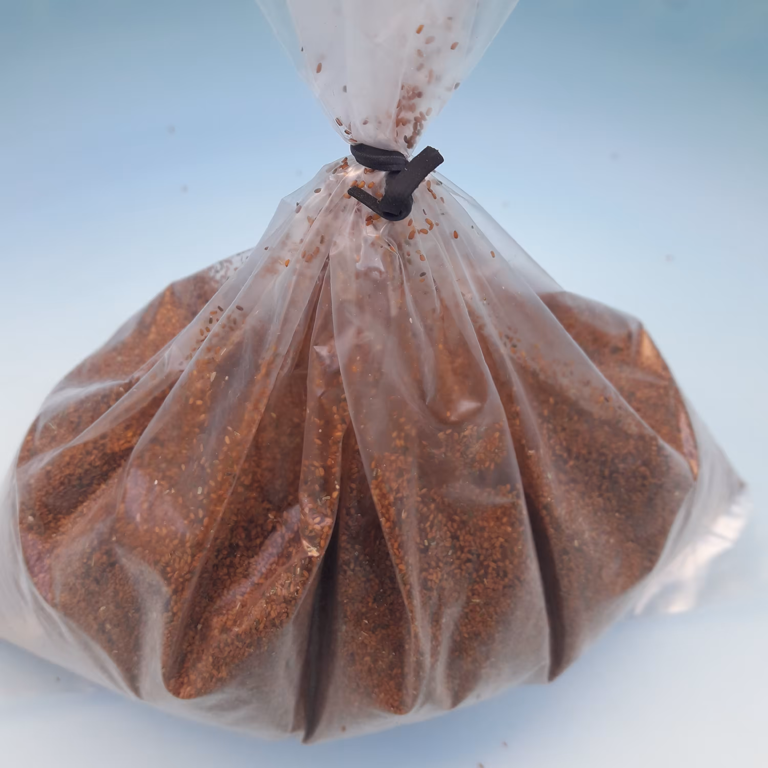 خاکشیر بسیار تمیز  و یکدست سورت شده صادراتی 