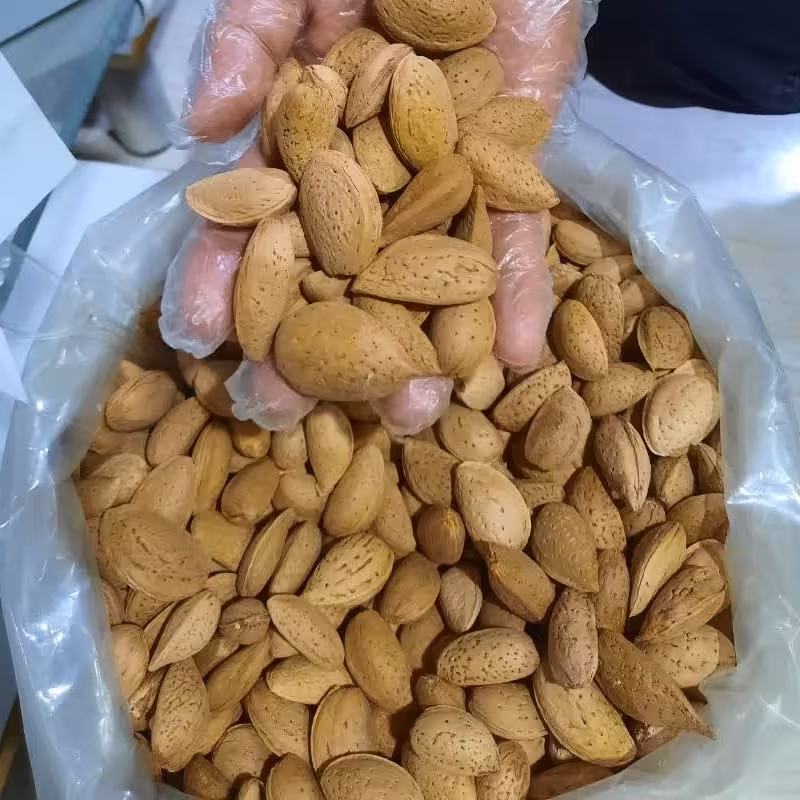 بادام سنگی بدون تلخی یکدست و امسالی ( یک کیلو گرم)