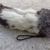 جامدادی   فانتزی کد 55 در رنگ های سفید سبز قرمز  ...