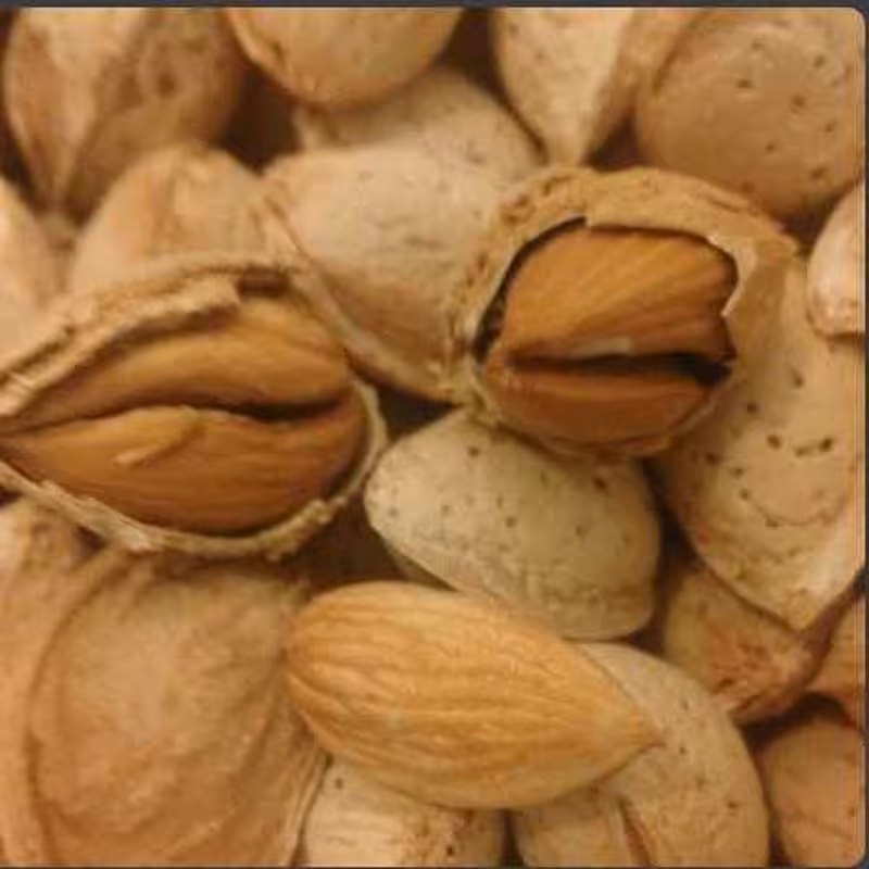 بادام کاغذی مراغه یک کیلوگرمی