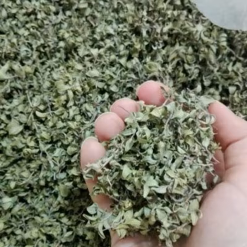 کاکوتی 100 گرمی                  