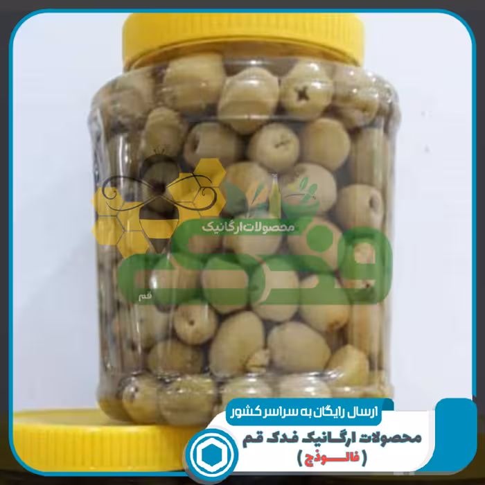 زیتون بدون هسته 5ستاره (500گرم آبکش)