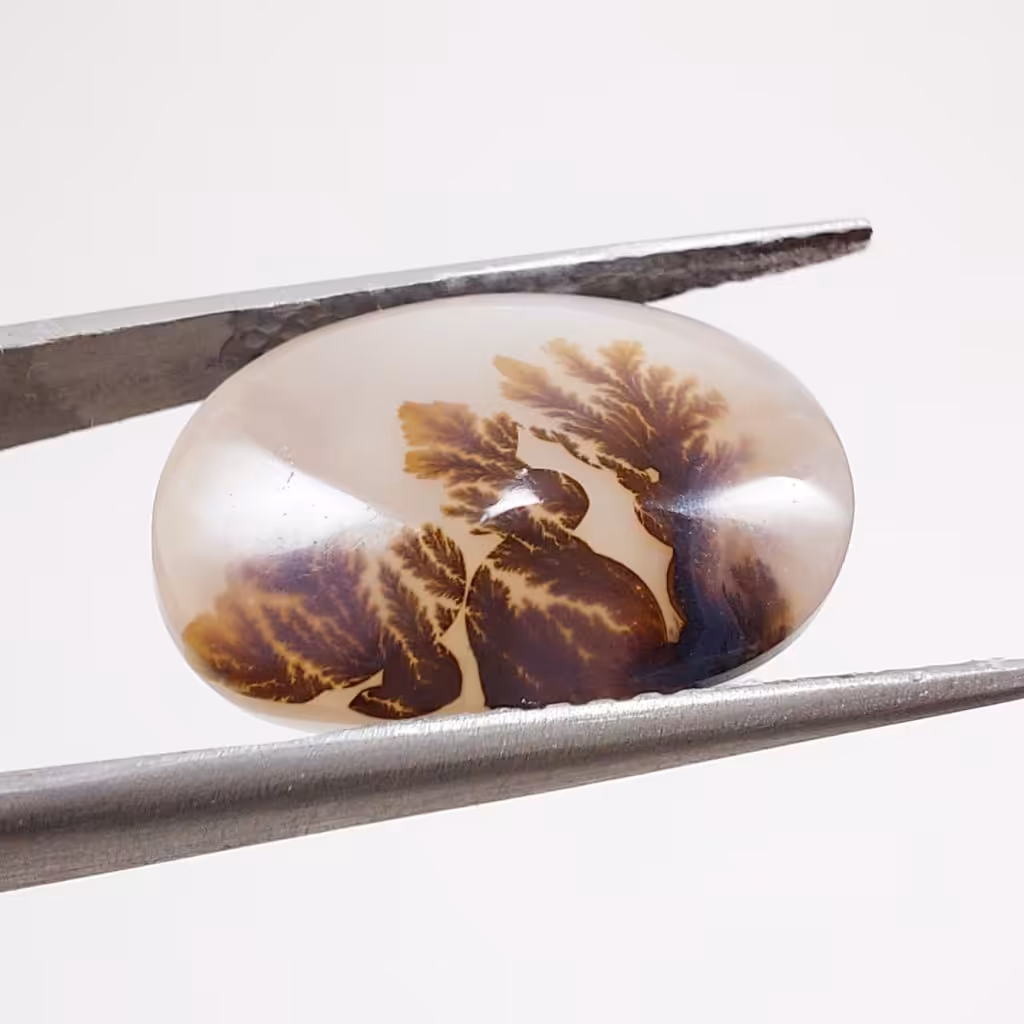 شجر سه بعدی قائن کد 7739 Y 