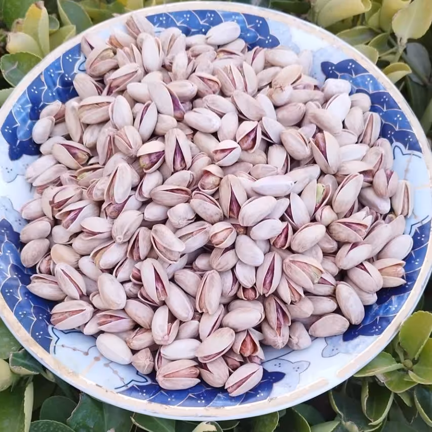 پسته خام خنجری  درجه یک دامغان دو کیلویی