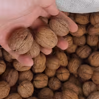 گردو خارجی باکیفیت بالا مارک دروسی(1 کیلو)